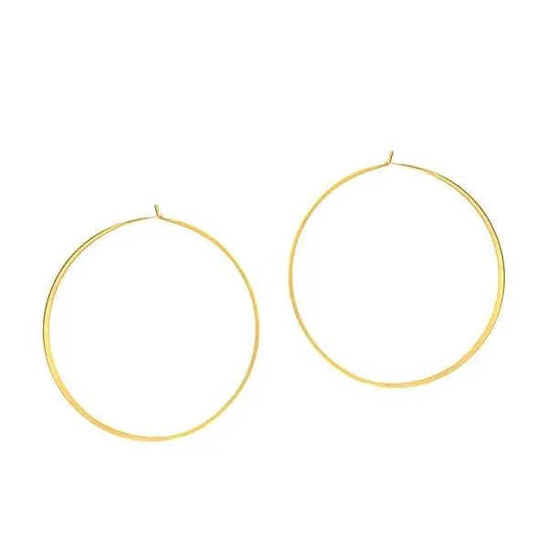 Flat Hoops | 20MM