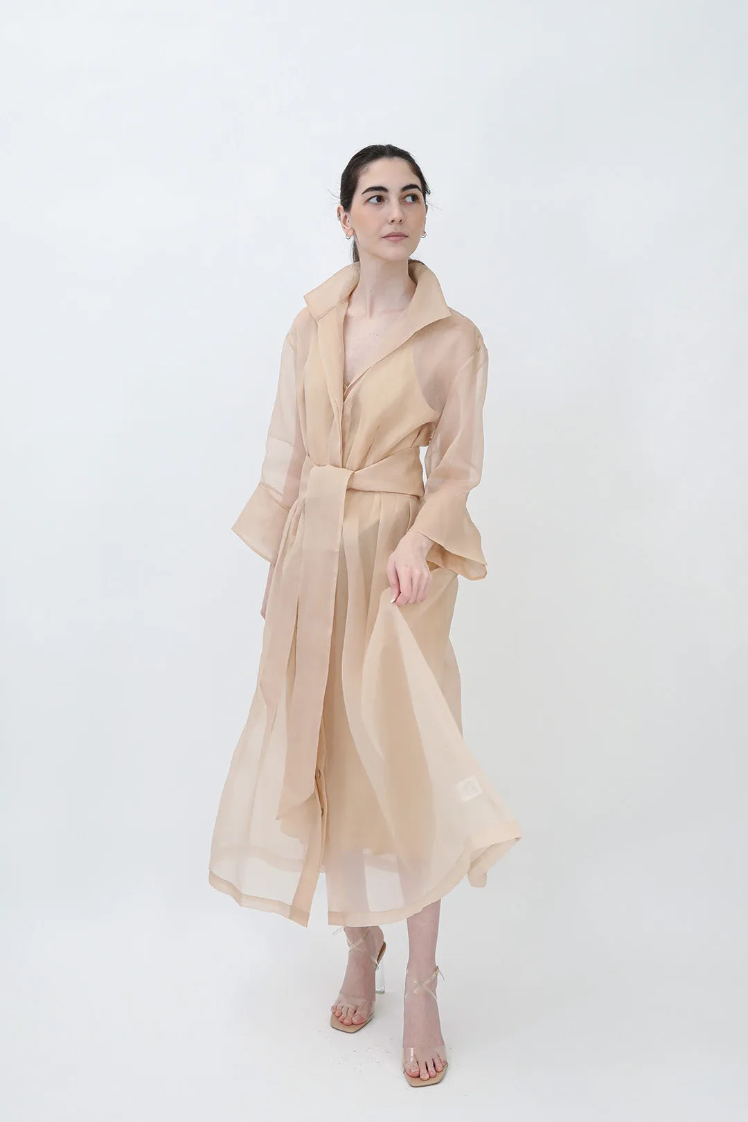 GABRIELLE DRESS IN SILK ORGANZA SAND