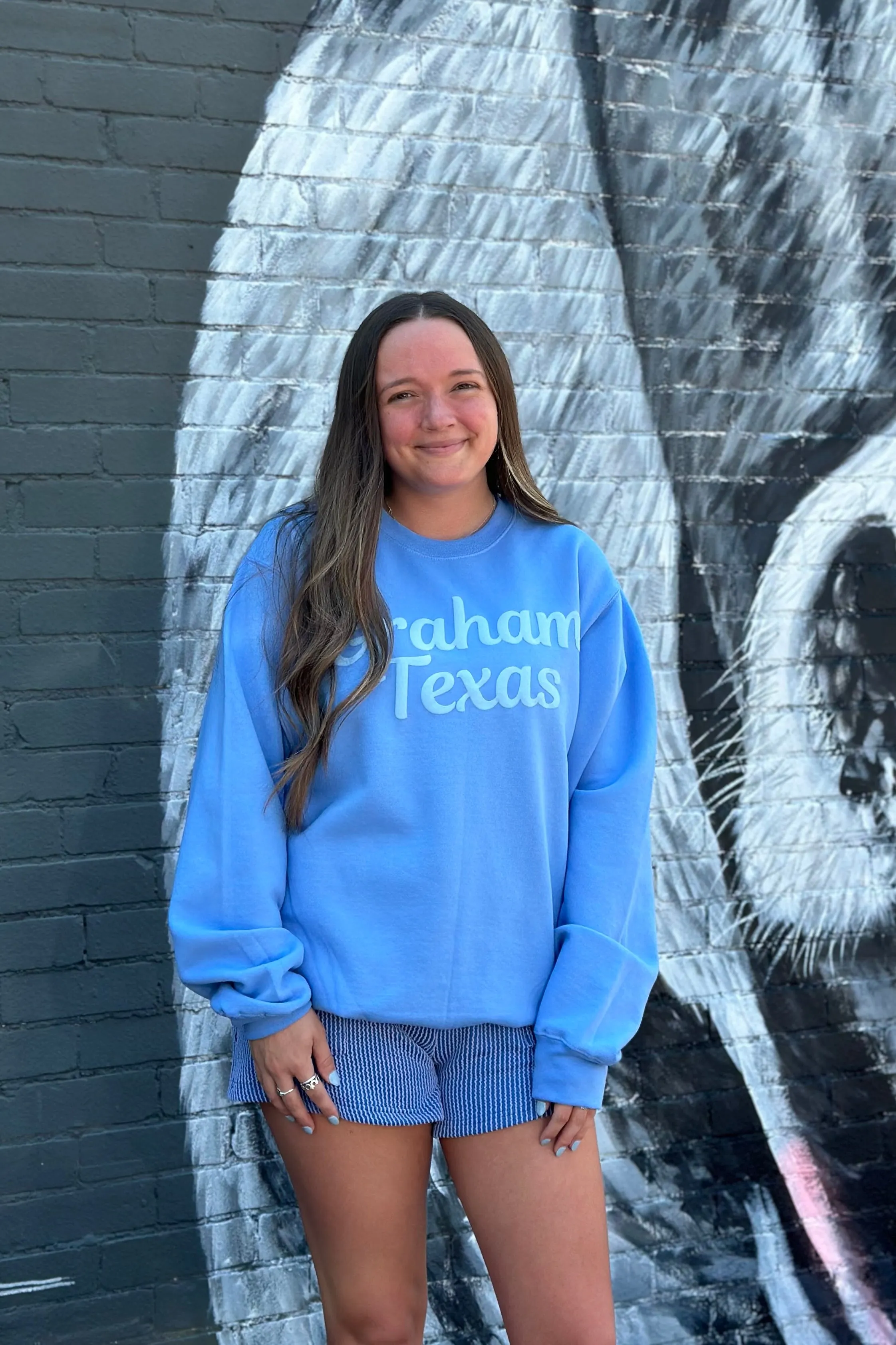 Graham Texas Puff Print Sweatshirt - Blue