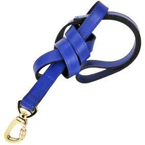 Holiday Dog Leash in Cobalt Blue & Gold