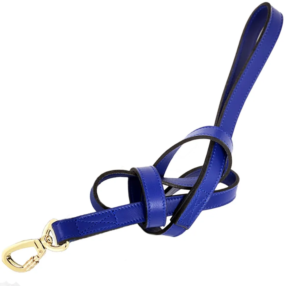 Holiday Dog Leash in Cobalt Blue & Gold