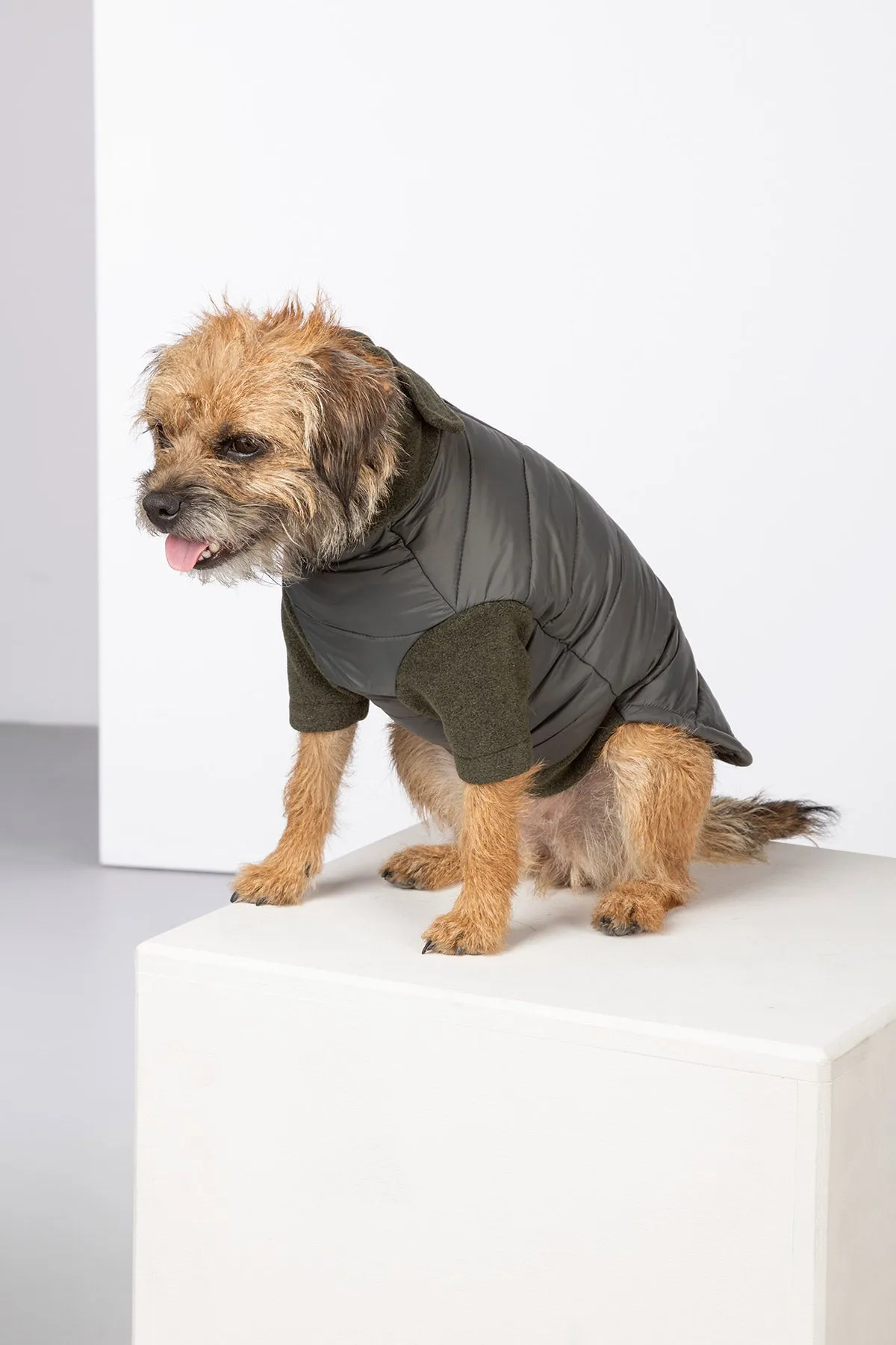 Hybrid Quilted Dog Jumper - Huggate