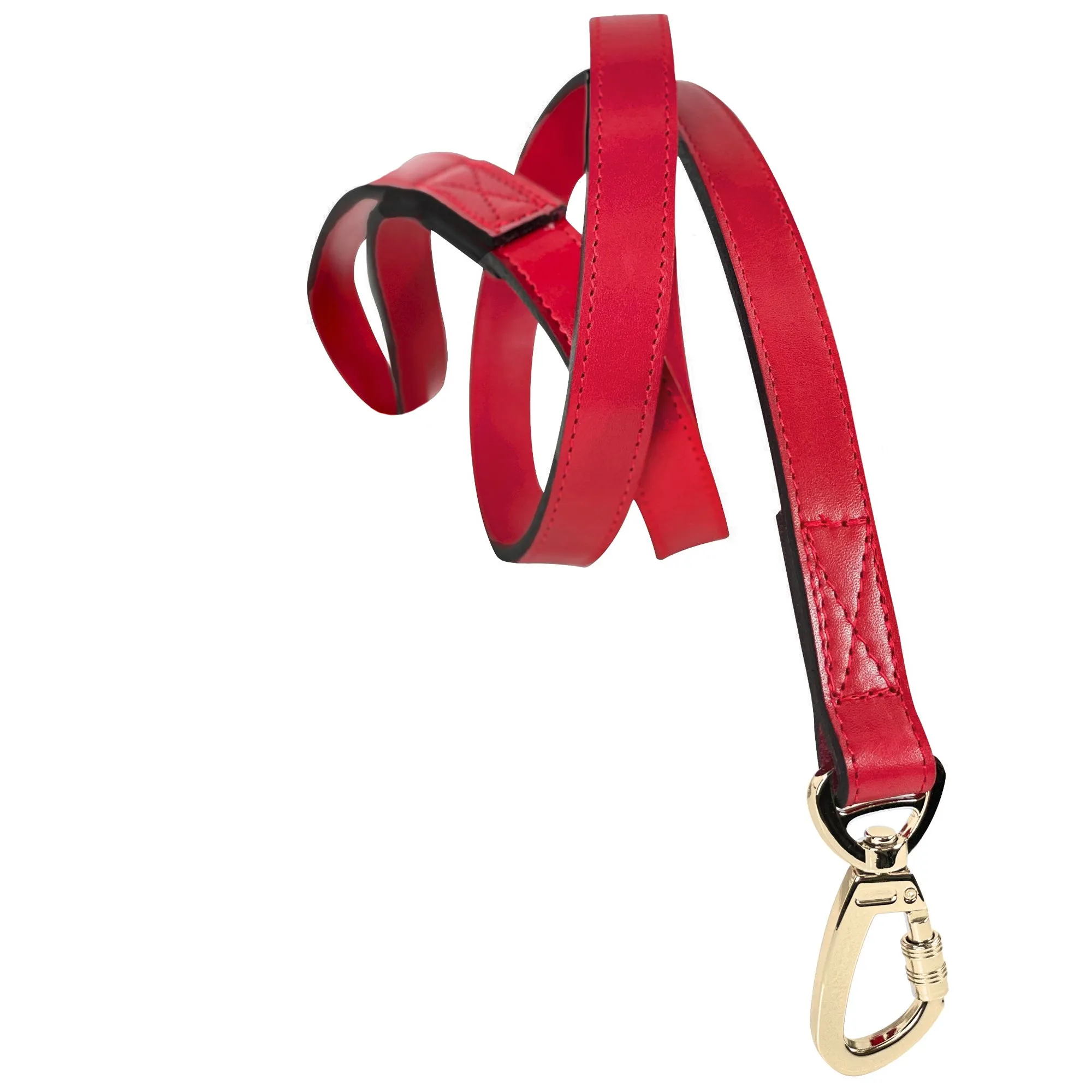 Leap Frog Dog Leash in Ferrari Red & Gold