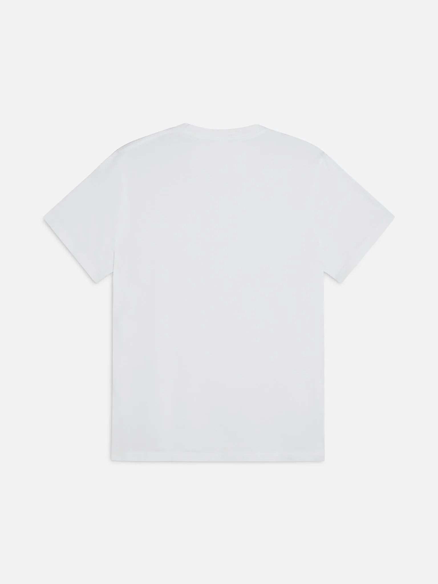 Men's Organic Cotton Crew Neck Tee