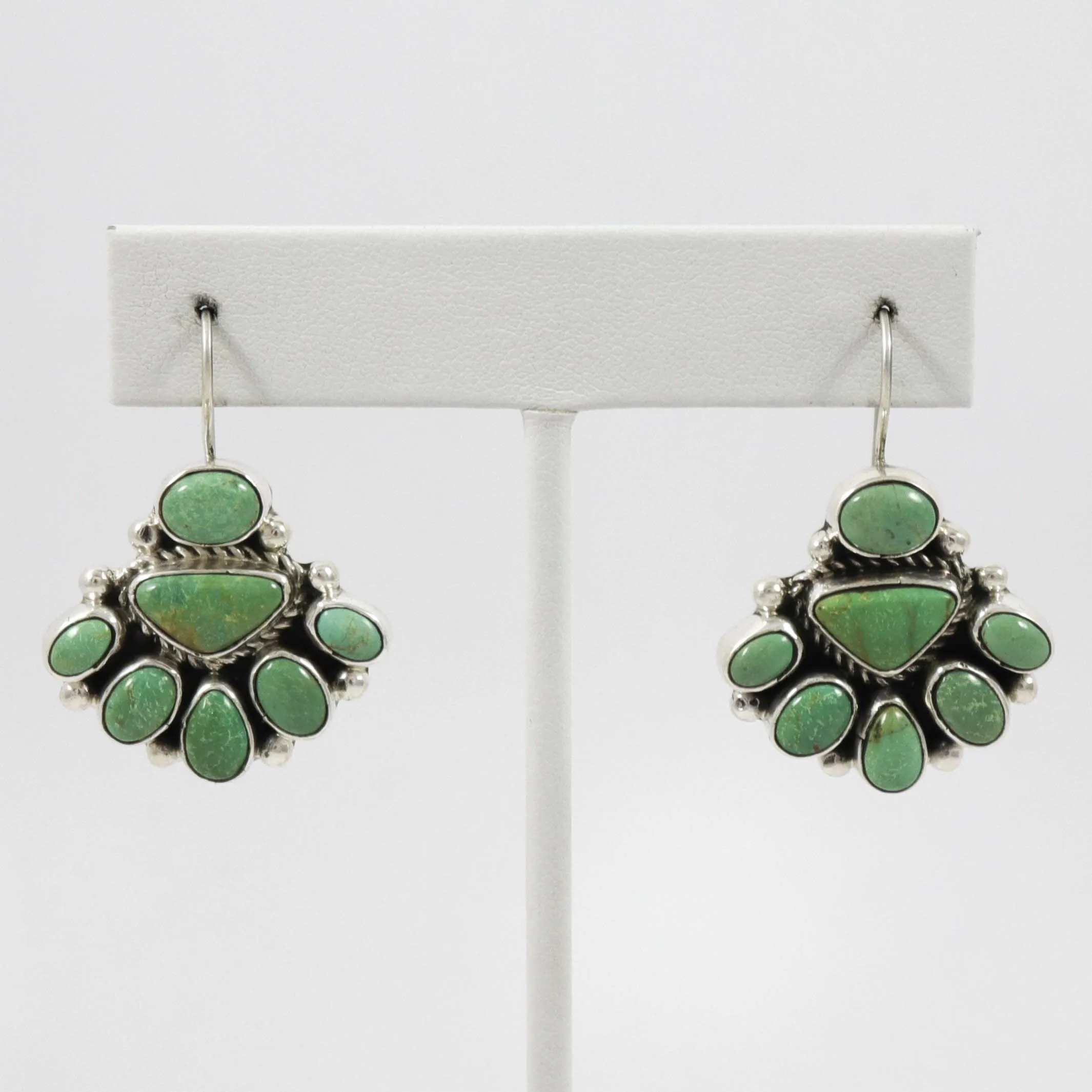 Royston Turquoise Earrings